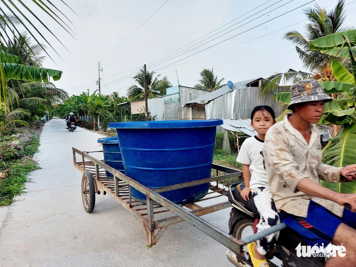 Sạt lở, sụt lún lộ giao thông nên khi bán tôm càng xanh, bà con phải chở từng thùng để chạy oxy, gây tốn nhiều chi phí, công sức - Ảnh: CHÍ CÔNG