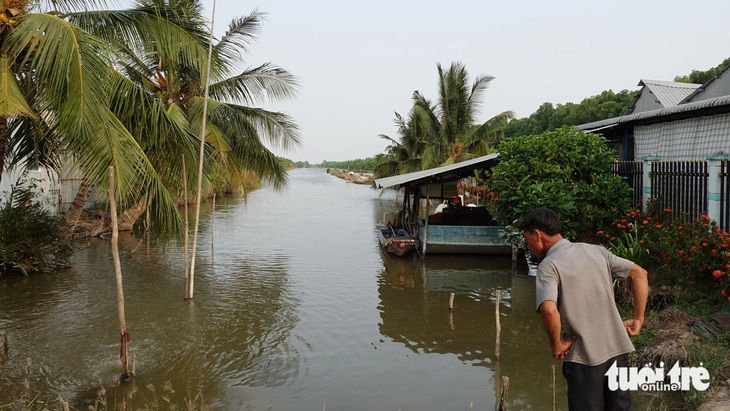 Bơm nước ngọt vào vuông tôm, người dân còn tốn tiền xử lý nước để đảm bảo tôm càng xanh không bị nhiễm bệnh - Ảnh: CHÍ CÔNG