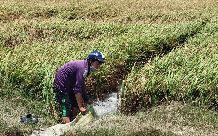 Giám đốc HTX ở Hà Nội ký xác nhận ông Lê Minh Hoàng biết cầu nguyện cho lúa bớt đổ, huyện nói gì?