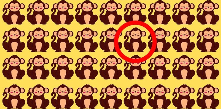Thiên tài mới thấy con sóc ở đâu?- Ảnh 4.