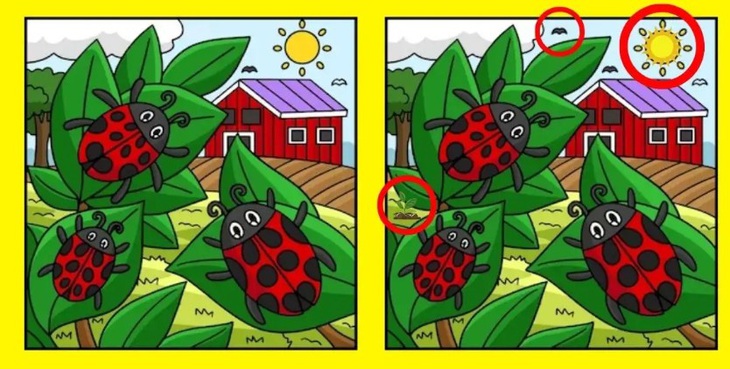 Thiên tài mới thấy con sóc ở đâu?- Ảnh 6.