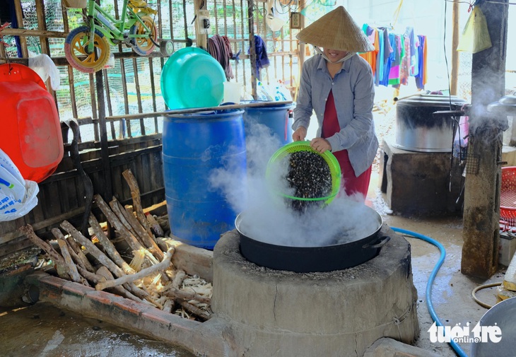 Hến tươi sau khi rửa sạch được nấu trong nồi nước sôi để đãi sạch vỏ - Ảnh: ĐẶNG TUYẾT