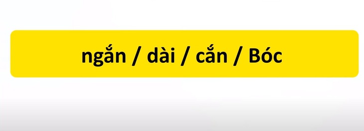 Thử tài tiếng Việt: Sắp xếp các từ sau thành câu có nghĩa (P53)- Ảnh 3.