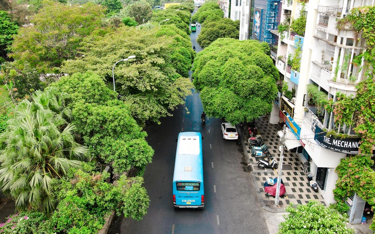 Hơn 400 cây xanh trên tuyến metro số 2, có cách nào không phải đốn bỏ?