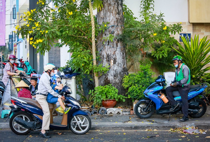 Hơn 400 cây xanh trên tuyến metro số 2, có cách nào không phải đốn bỏ?- Ảnh 8.