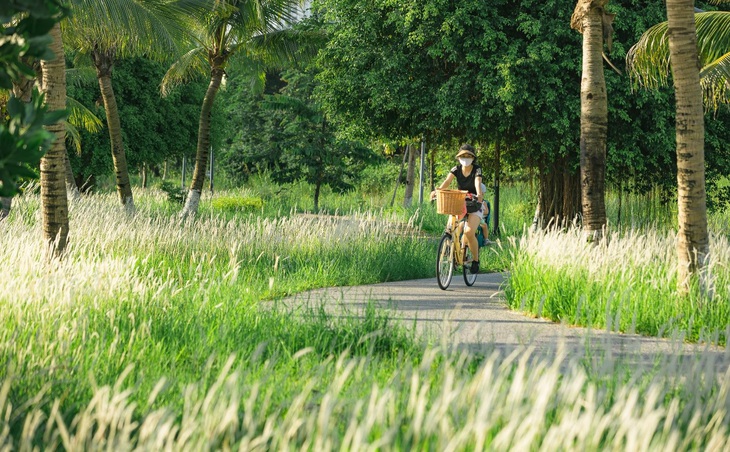 Cánh đồng cỏ lau tại Ecopark là điểm đến thư giãn, vận động, vui chơi của cư dân