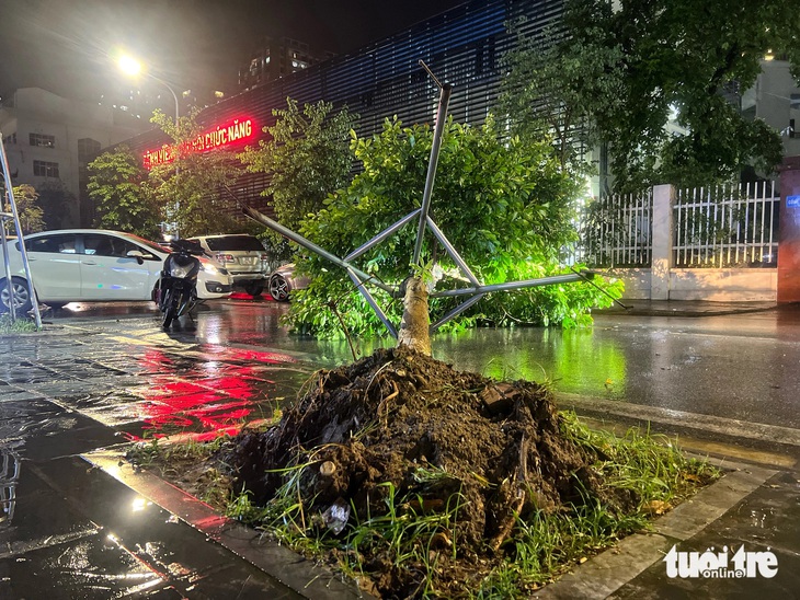 Một cây xanh trên đường Lê Văn Thiêm (Thanh Xuân) bật gốc chắn ngang đường - Ảnh: PHẠM TUẤN