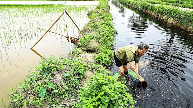 Người dân ở thị xã Mỹ Hào (Hưng Yên) cho biết “bất lực” vì nước thải thường xuyên “tấn công” - Ảnh: DANH KHANG