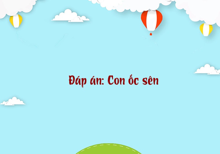 Câu đố hack não: Cái gì luôn ở phía trước mà không bao giờ thấy?- Ảnh 4.