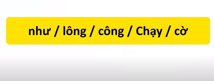 Thử tài tiếng Việt: Sắp xếp các từ sau thành câu có nghĩa (P73)- Ảnh 3.