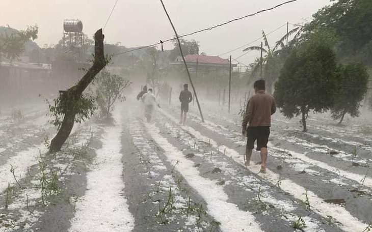 Mưa đá 'chưa từng có', phủ trắng núi đồi ở Sơn La, Hòa Bình