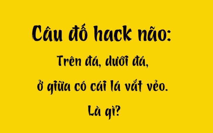 Câu đố hack não: Trên đá, dưới đá, ở giữa có cái lá vắt vẻo là gì?