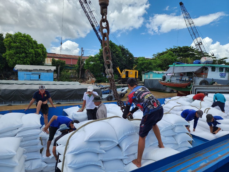 Xuất khẩu gạo của Việt Nam đang thuận lợi - Ảnh: BỬU ĐẤU