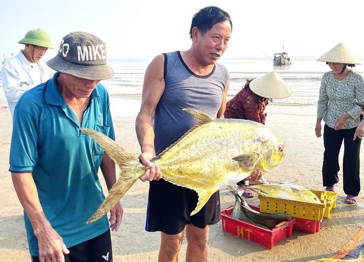 Với khoảng 1,2 tấn cá chim vây vàng đánh bắt được đưa về thu nhập cho nhóm ngư dân hơn 300 triệu đồng sau một đêm ra khơi - Ảnh: H.A.