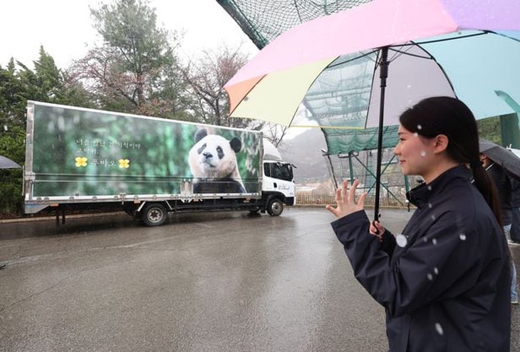 Nhân viên của Everland đứng chào tạm biệt Fu Bao lên đường trở về quê hương Trung Quốc - Ảnh: Yonhap News