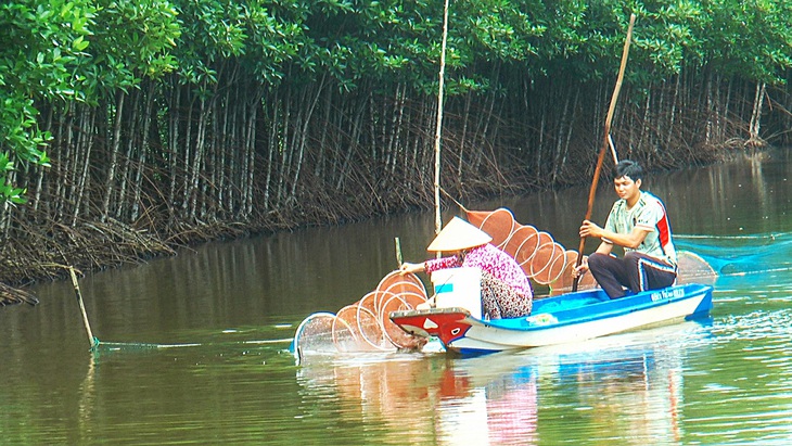 Cà Mau có hơn 280.000ha nuôi tôm cua, chiếm 40% diện tích nuôi tôm cả nước, nên tôm cua bị dịch bệnh sẽ ảnh hưởng rất nhiều đến đời sống người dân - Ảnh: THANH HUYỀN