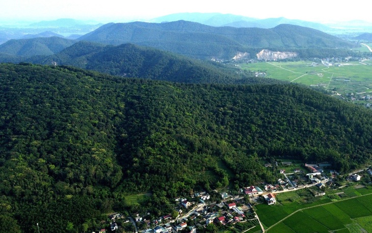 Khu vực rừng sến Tam Quy, huyện Hà Trung (Thanh Hóa) - nơi công an nghi Mai Văn Đệ đang lẩn trốn - Ảnh: HÀ ĐỒNG