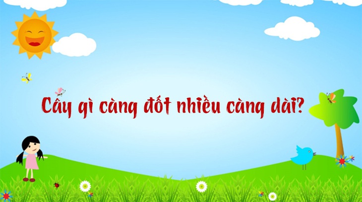 Câu đố hack não: Nơi nào con voi có thể ăn được cái xe?- Ảnh 5. Câu đố hack não: Nơi nào con voi có thể ăn được cái xe?- Ảnh 5.