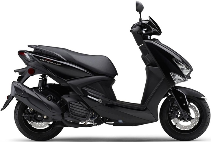 Yamaha Cygnus Gryphus có giá khá cao, lên tới 336.600 yen (chưa bao gồm thuế VAT 10%), tương đương khoảng 55,5 triệu đồng. Nếu về Việt Nam, giá này có thể còn cao hơn nữa, trong khi đối thủ có giá dưới 45 triệu đồng, như Honda Vario 125 gần 41 triệu đồng, Honda Air Blade hơn 42 triệu đồng. Do đó, khả năng mẫu xe này về Việt Nam qua con đường nhập khẩu tư nhân cao hơn.