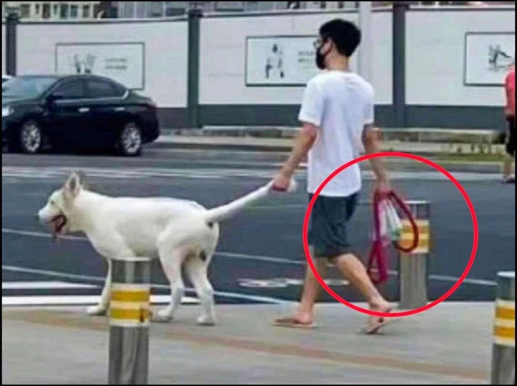 Ảnh vui 8-4: Thế giới này người ta yêu nhau làm sao á?!- Ảnh 5. Ủa, vậy là sao?!