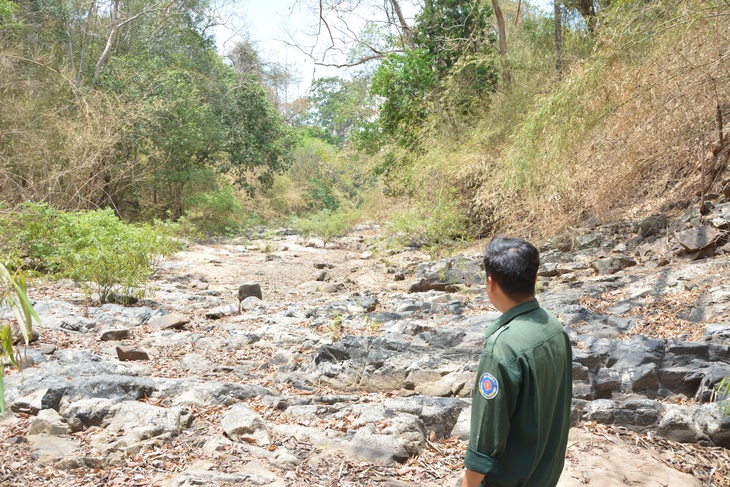 Ka Pét - Ảnh 1.