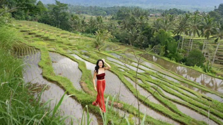 Cô gái trẻ chụp ảnh tại ruộng bậc thang ở Bali, Indonesia. 