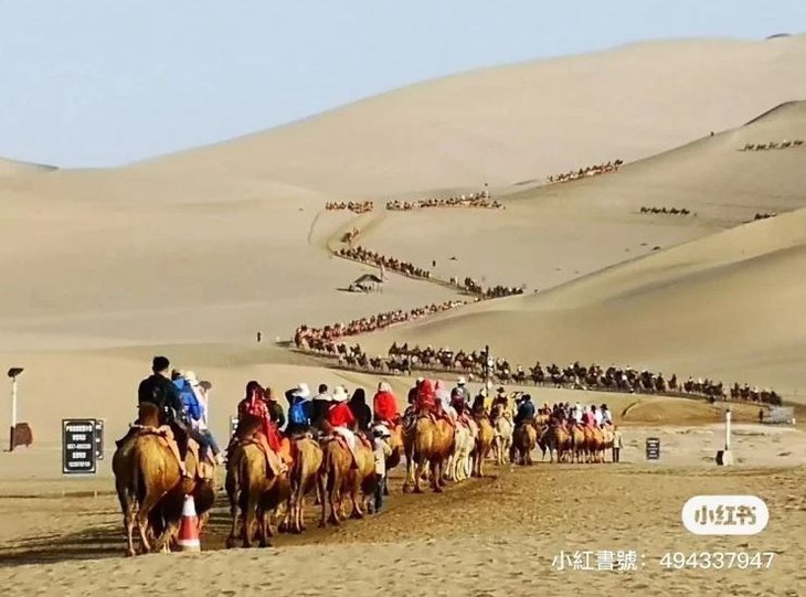 Lắp đèn giao thông cho lạc đà trong sa mạc- Ảnh 2. Mỗi ngày, sa mạc Kumtag đón hàng chục nghìn du khách và con số này vọt hẳn trong dịp lễ.