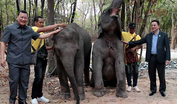 Bộ trưởng Bộ Nông, Lâm nghiệp và Thủy sản Campuchia Dith Tina (trái) và người đồng cấp Lào Linkham Douangsavanh trong buổi bàn giao hai con voi từ Lào tại Trung tâm Cứu hộ động vật hoang dã Phnom Tamao, Campuchia hôm 12-5 - Ảnh: KHMER TIMES KT/HENG CHIVOAN