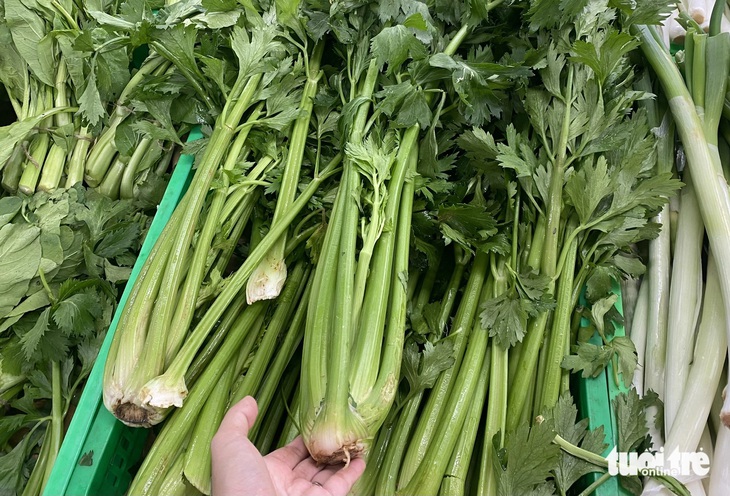 Không chỉ làm đẹp, cần tây hỗ trợ chữa nhiều bệnh nhưng 'tối kỵ' với ai?- Ảnh 1. Bên cạnh là rau thơm, cần tây còn là dược thảo, có tác dụng điều trị nhiều bệnh. Tuy nhiên có một số người không được dùng chúng - Ảnh: XUÂN MAI