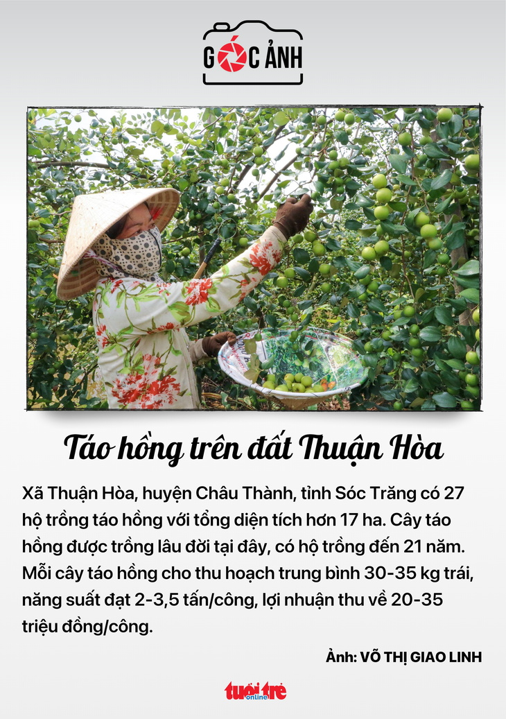 Tin tức sáng 17-5: Hơn 300 dự án giải ngân 0 đồng; Phạt 1 doanh nghiệp liên quan 'Shark' Thủy- Ảnh 8.