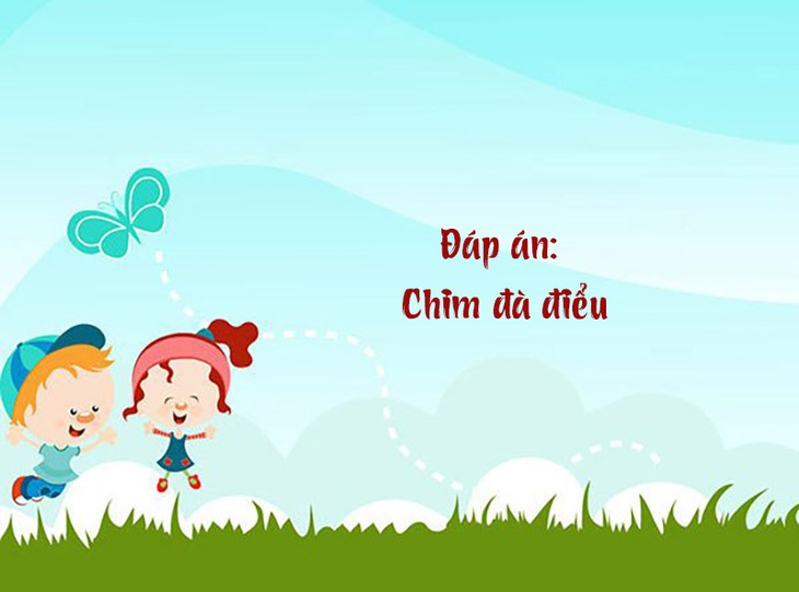 Câu đố hack não: Chim gì to nhất?- Ảnh 2.