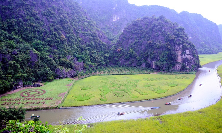 Toàn cảnh cánh đồng lúa Tam Cốc - Ảnh: Sở Du lịch Ninh Bình