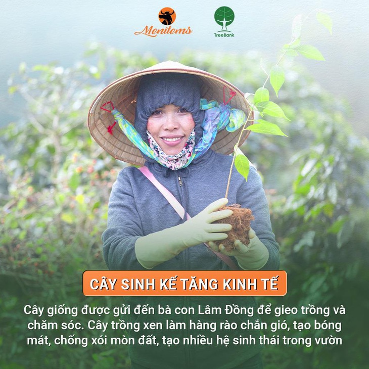 Menitems trao cây giống góp phần hỗ trợ sinh kế cho người dân Lâm Đồng- Ảnh 4. Trao tặng cây sinh kế góp phần tăng nền kinh tế cho người dân Lâm Đồng
