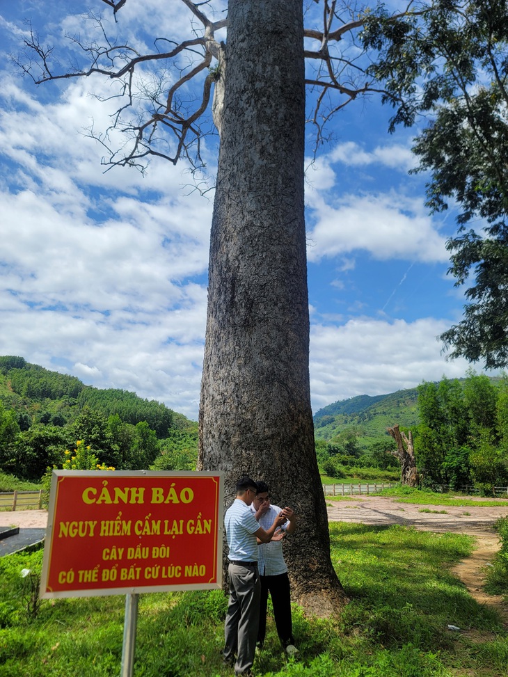 Địa phương cắm biển cảnh báo nhằm đảm bảo an toàn cho người dân - Ảnh: TRẦN HƯỚNG