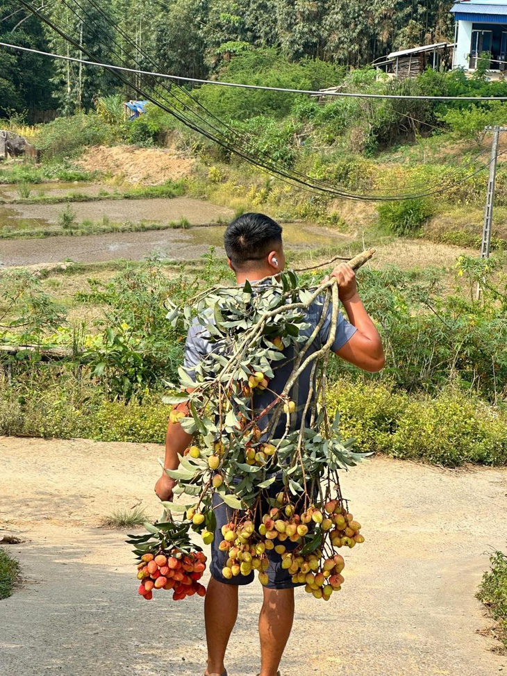 Mắt nhìn cây mận nhưng tay đã có cành vải. 