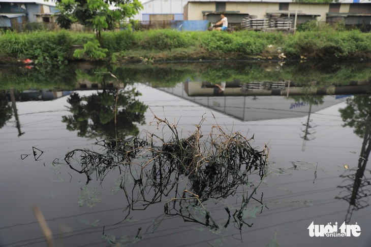 Kênh Trần Thành Ngọ - nằm phía sau Khu công nghiệp dệt may Phố Nối B - nước đen kịt và thường xuyên bốc mùi hôi thối ảnh hưởng đến cuộc sống, sản xuất nông nghiệp của người dân - Ảnh: D.KHANG