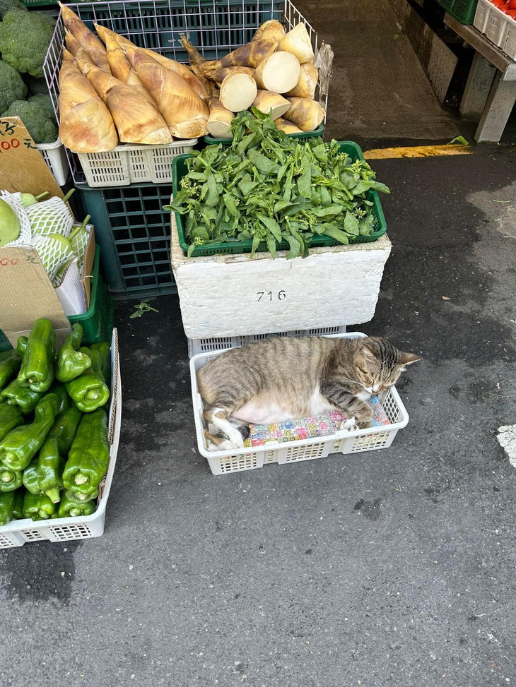 Món này có bán không bác ơi? 