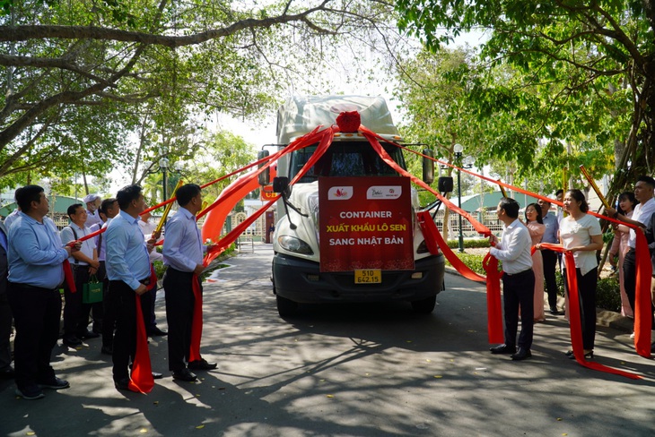 Lô hàng củ sen cấp đông chuẩn bị xuất sang Nhật Bản - Ảnh: CTV