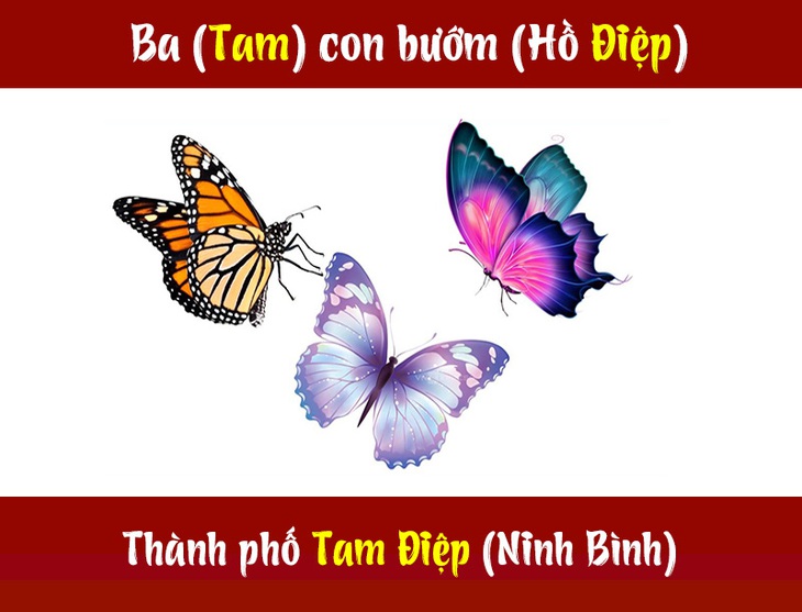 IQ cao có đoán được đây là tỉnh thành nào nước ta? (P52)- Ảnh 2.