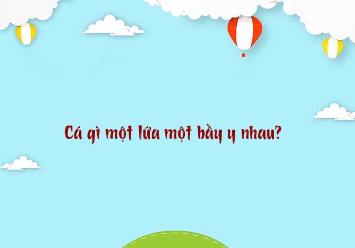 Con gì đầu chuột, cánh chim, bắt muỗi cả đêm?- Ảnh 3.