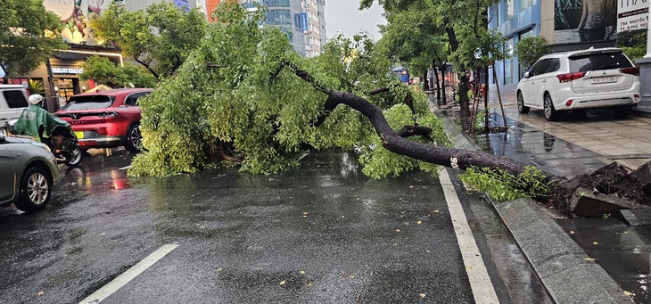 TP.HCM mưa ngập khắp nơi, đường trung tâm Lê Lợi mênh mông nước- Ảnh 11.