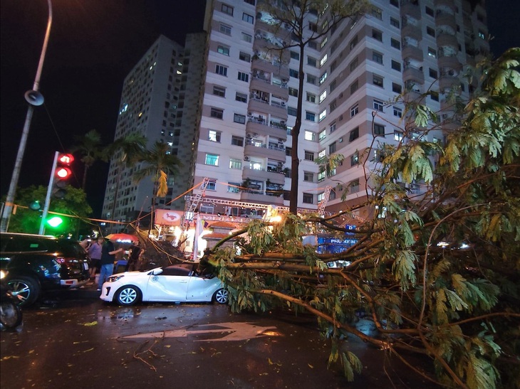 Cây đổ đè lên ô tô ở Linh Đàm, Hoàng Mai - Ảnh: PHÚ ANH 