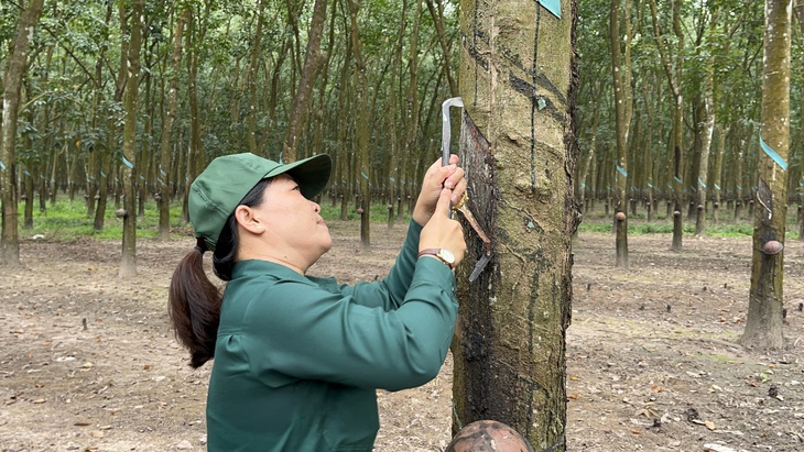 Dù gặp nhiều khó khăn, bất lợi nhưng VRG vẫn vượt kế hoạch kinh doanh năm 2023 và tiếp tục tăng trưởng trong năm 2024