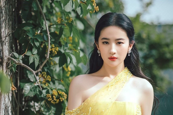 Lưu Diệc Phi thuận lợi gia nhập showbiz từ sớm - Ảnh: Sina 