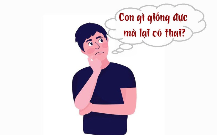 Con gì giống đực mà lại có thai?