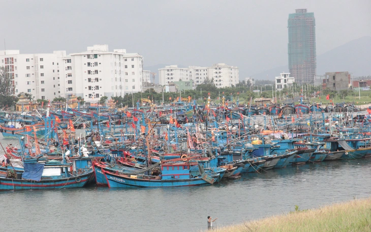 Quyết tâm cao, hành động cụ thể để gỡ thẻ vàng IUU - Ảnh 3.