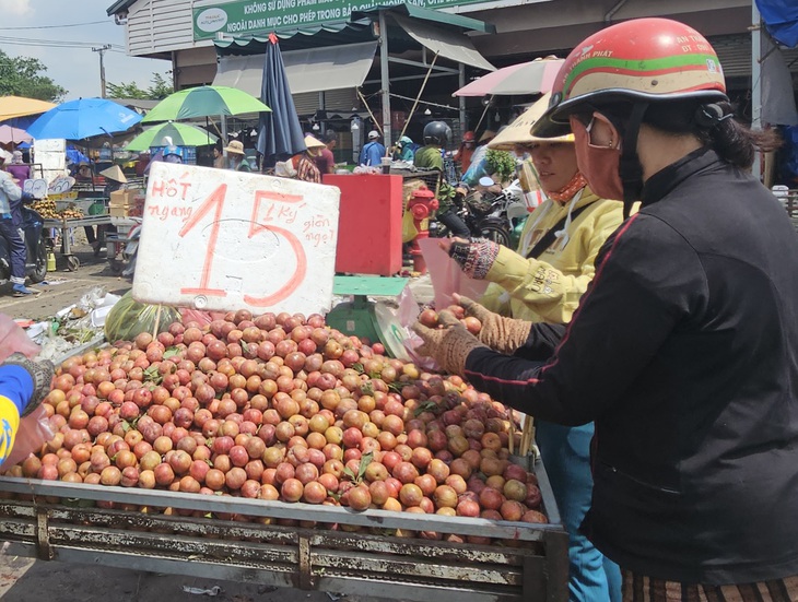 Mận hậu bán tại TP.HCM đầu tháng 6 này - Ảnh: NGUYỄN TRÍ