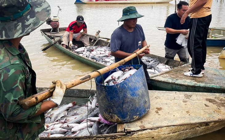 Thủy điện Ialy nói gì về hàng chục tấn cá chết trên lòng hồ?