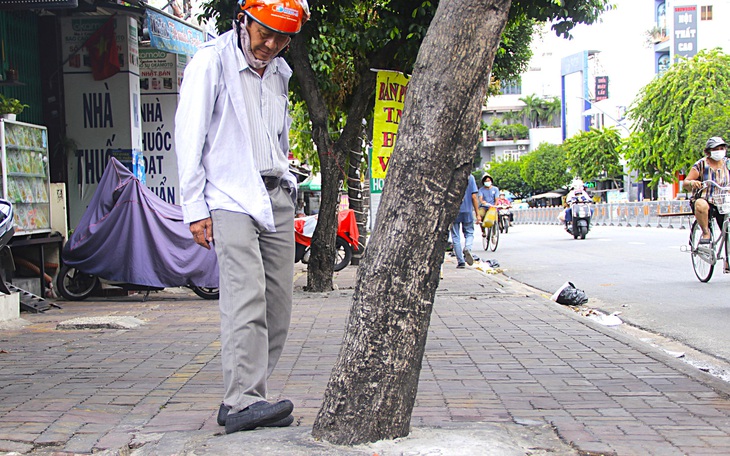 Suốt ngày đòi bóng mát, lại thản nhiên 