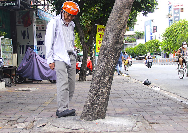 Người dân xót xa trước một gốc cây trên đường Nguyễn Thái Sơn đã bị xi măng trám bít - Ảnh: T.QUỐC